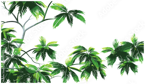 Vector cutout tropical trees, branch foreground, transparent background, palm leaves, nature silhouette, exotic plants, jungle, green foliage, tropical summer