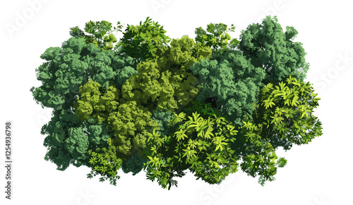 Jungle view, tropical forest, lush trees, vector illustration, top view, transparent background, exotic plants, aerial perspective, vibrant greenery, jungle landscape