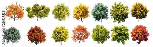 Vector seasonal trees top view, colourful forest, transparent background, spring, autumn, fall, nature landscape, tree canopy, natural design, green, yellow, red leaves, outdoor scene