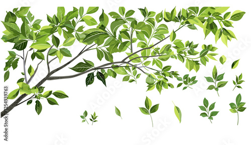 Green forest tree branches vector illustration on transparent backgrounds, nature elements, foliage png, isolated leaves, eco design, jungle silhouette, woodland clipart, plant graphics
