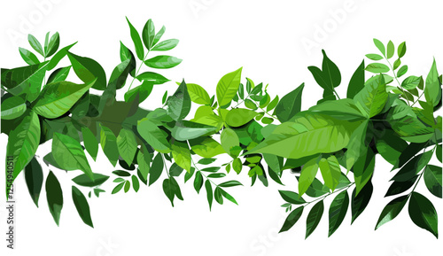 Vibrant green leaves vector, environmental cutout on transparent backgrounds, png, foliage illustration, eco nature, botanical clipart, fresh leaf design, plant element, isolated greenery