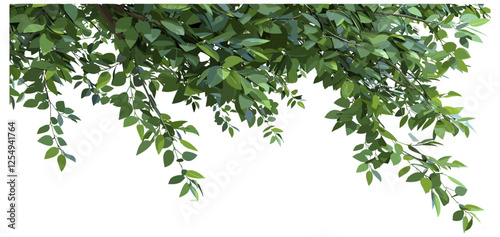 Vector illustration Green tree branches, cutout backgrounds, lush green leaves, nature design, eco-friendly concept, foliage texture, fresh leaves, tree silhouette, green color palette, outdoor