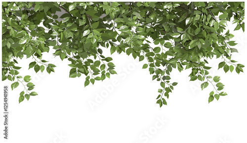 Tree branches vector, green leaves cutout, nature background, fresh foliage, outdoor scene, eco-friendly design, leaf texture, natural tree branches, organic environment, green design