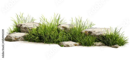 Greenery meadow row grass fields with rock composition, cutout backgrounds, nature landscape, outdoor scene, fresh grass, peaceful environment, natural greenery, vibrant fields
