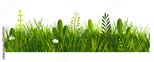 greenery nature, meadow landscaping, grass, cut out, transparent background, lush green grass, environmental design, natural landscape, outdoor scene, vector illustration
