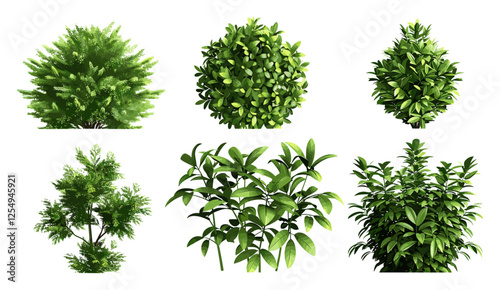 Shrubs plants 3d render cut out shapes png, greenery design, foliage texture, nature backgrounds, plants decor, fresh botanical, lush greenery, eco-friendly, natural elements