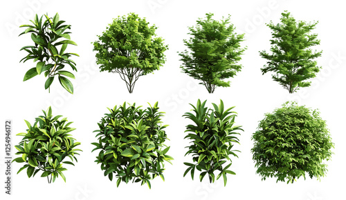 Greenery plants shrubs 3d render cut out shapes, nature backgrounds, botanical decor, foliage texture, fresh landscape, lush plants design, natural textures, eco greenery