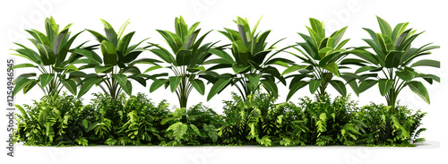 Greenery vector illustration, tropical shrubs row, cutout PNG file, nature plants, tropical leaves, botanical greenery, foliage design, plant clipart, tropical decor