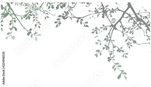 tree branches shadow vector illustration, blur background, isolated trees, png transparent, nature vector, green tree silhouette, forest shadows, foliage graphic