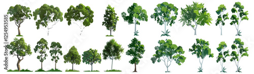 Jungle vector illustration, large trees, wood shapes, cutout collection, transparent PNG, forest elements, tropical leaves, wild nature, botanical clipart, green canopy, tree bundle, foliage pack