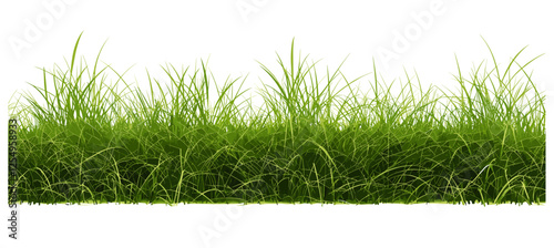 Nature vector illustration meadow grassy shapes cut out backgrounds PNG file, outdoor elements, natural landscapes, grass fields, eco-friendly backgrounds, vibrant nature design