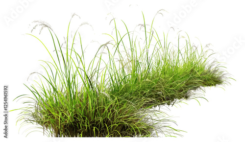 Nature grass field, flowing vector illustration, cut out backgrounds, meadow, green grass, rural landscape, outdoor scene, eco-friendly, fresh natural landscape, spring field