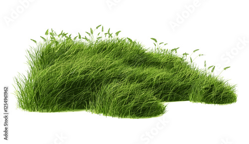 Nature vector illustration grass meadow cut out backgrounds png file, green grass, nature meadow, landscape background, nature scene, outdoor, spring meadow, grass texture