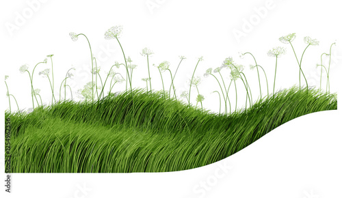 Vector grass meadow, nature illustration cut out backgrounds png, green grass field, nature background, landscape texture, meadow scene, fresh grass, outdoor backdrop