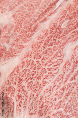 Japanese Wagyu Beef background texture