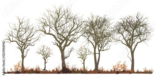 Outside seasonal trees vector illustration, dry trees cutout, landscaped trees, transparent backgrounds, seasonal landscape, nature illustration, outdoor trees, tree silhouette, cutout art.