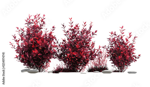 lants, red shrubs vector illustration, cutout on transparent background, botanical design, isolated nature art, green foliage, eco-friendly plants, garden decoration, leaf illustration