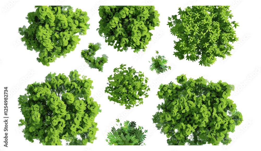 Greenery trees top view, vector illustration, jungles isolated, transparent backgrounds, PNG, tropical plants, dense forest, wild nature, tree canopy, summer jungle, botanical elements Greenery trees top view, vector illustration, jungles isolated, transparent backgrounds, PNG, tropical plants, dense forest, wild nature, tree canopy, summer jungle, botanical elements