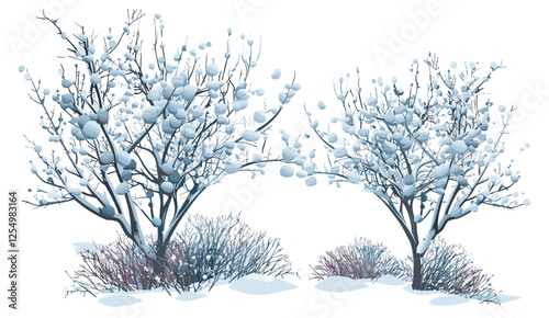 Winter snowy frigid bush, frozen shrubs png isolated on transparent background, cold plants, frost-covered, frozen foliage, icy weather, chilly nature, frosty bush, white winter