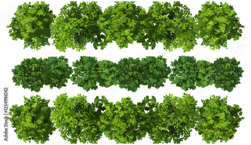 Vector forest landscape with trees lined, greenery, natural trees, forest environment, lush forest, scenic trees, nature artwork, outdoor greenery, fresh natural design