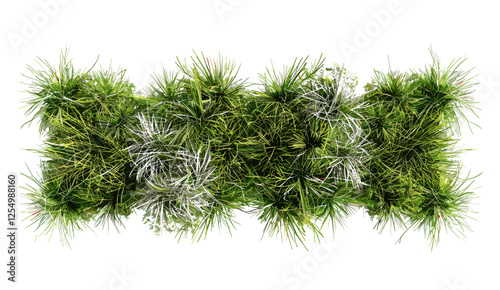 Savanna landscape, nature vector illustration, realistic grass row, flora, wild plants, vibrant green, natural environment, African savanna, scenic field, grassland, terrain