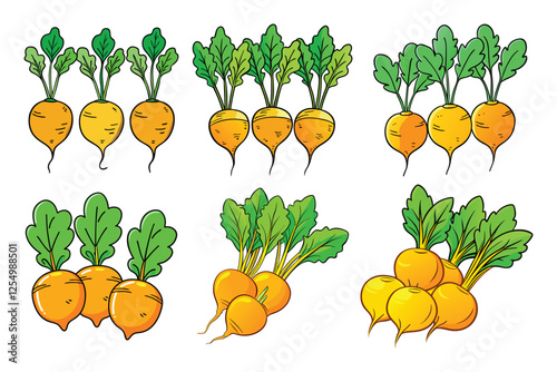 Goldens Beets vector illustration isolated on white background.