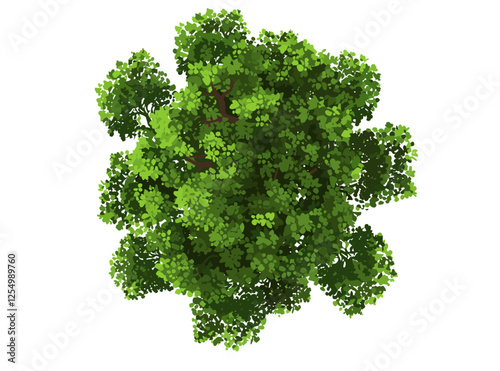 vector illustration single tree, forest canopy, nature scene, outdoor landscape, tree silhouette, peaceful, greenery, environment, natural forest, forest leaves, summer forest