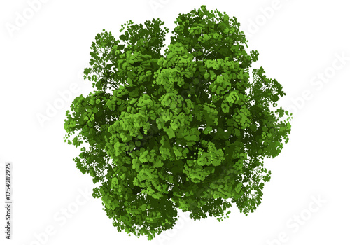 single tree, forest canopy, nature vector, green trees, landscape, outdoor scene, canopy view, tranquil environment, summer forest, natural habitat, peaceful atmosphere