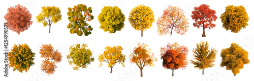Vector illustration autumn trees set, vibrant colours, fall foliage, colorful autumn leaves, nature background, seasonal trees, forest scene, autumn landscape
