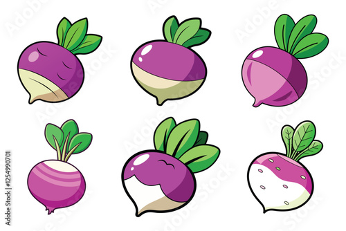 Turnip vector illustration isolated on white background.