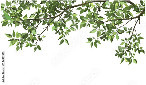 Tall tree branches, leaves, vector layout, illustration, nature, foliage, design, landscape, botanical, environment, green, forest, outdoors, greenery, seasonal