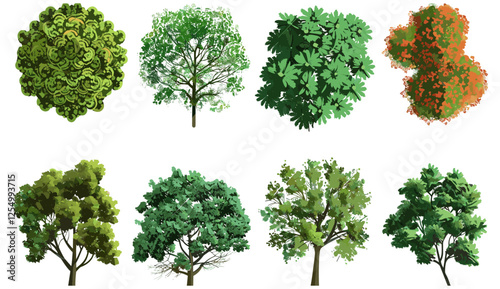 Isolate trees from above, vector illustration, tree top view, forest canopy, aerial tree set, green foliage, landscape elements, nature clipart, urban planning, park design