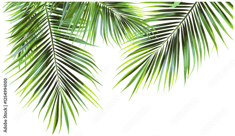Obraz premium Tropical paradise palm fronds, vector illustration, palm leaves clipart, tropical plants, summer background, green foliage, exotic nature, vacation theme, beach decor