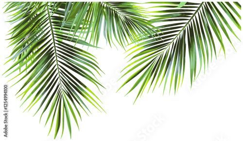 Tropical paradise palm fronds, vector illustration, palm leaves clipart, tropical plants, summer background, green foliage, exotic nature, vacation theme, beach decor