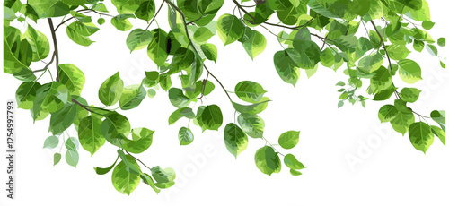 Green wild tree leaves, branch, foliage texture, spring nature, fresh leaves, outdoor greenery, plant texture, nature background, botanical scene, lush forest, vibrant leaves,