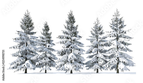 Snow-covered pine trees, frosted winter trees, snowy forest, winter landscape, cold weather, nature snow, winter forest, snow-covered branches, pine forest, frozen landscape