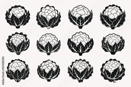 Cauliflower silhouette vector illustration isolated on white background.