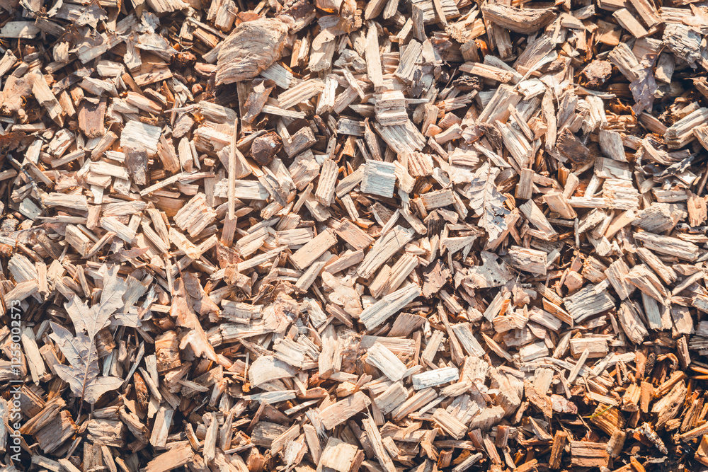 Close-up of torn wood and raw materials. Wood shavings. Close-up of torn wood and raw materials. Wood shavings.