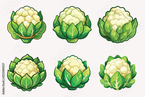 Cauliflower vector illustration isolated on white background.
