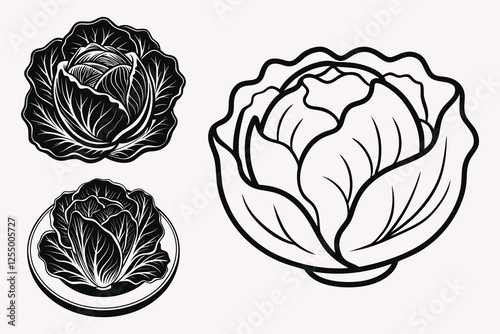 Cabbage silhouette vector illustration isolated on white background.