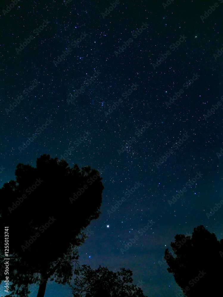 Fototapeta premium Rural nocturnal landscape