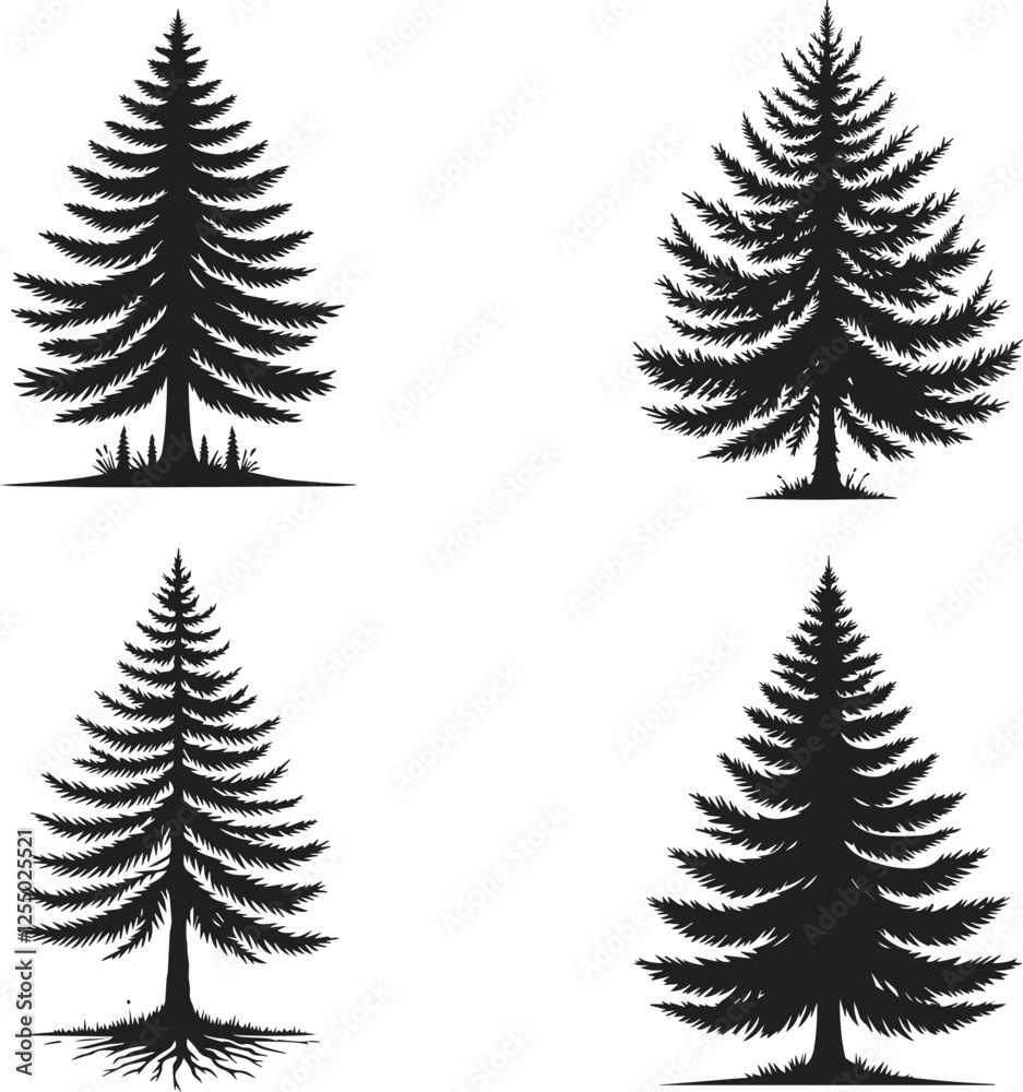 Obraz premium Larch Tree Silhouette Collection - Vector Illustrations