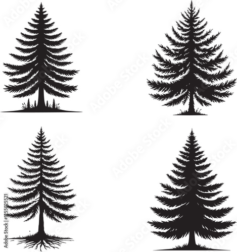 Larch Tree Silhouette Collection - Vector Illustrations