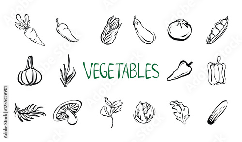 A Collection Of Hand Drawn Vegetable Illustrations