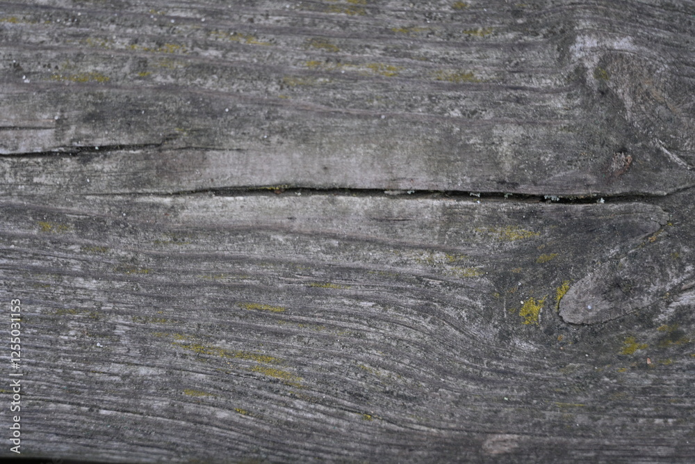 gray old wood flooring abstract as background, old wood texture close up as a background,	