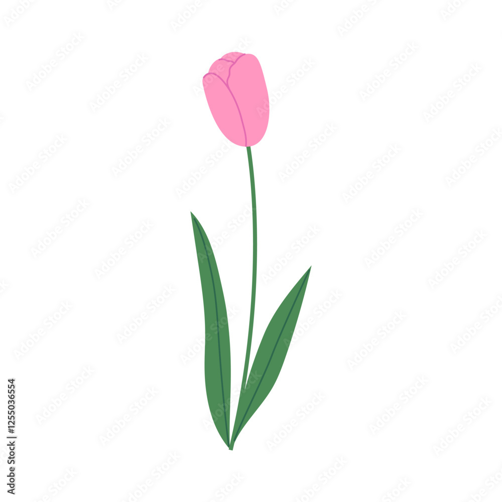 Obraz premium Pink tulip with green leaves isolated on white background. Hand drawn vector illustration.