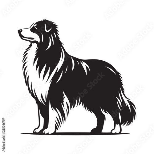 Well-balanced Australian Shepherd silhouette for artistic compositions - Australian Shepherd illustration - minimal Australian Shepherd vector - dog silhouette
