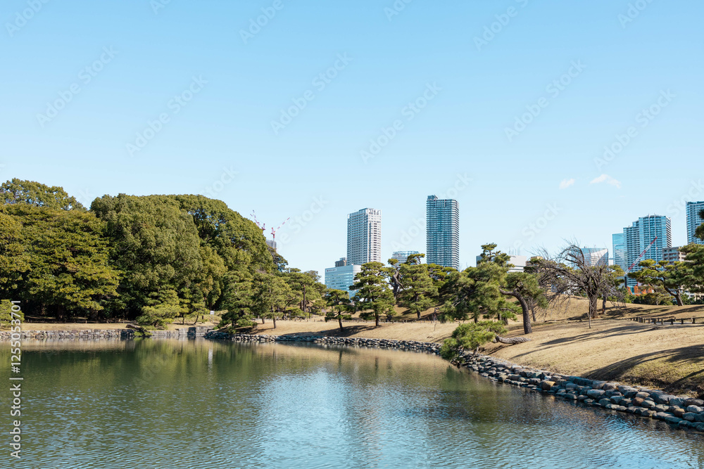 Fototapeta premium 高層ビルに囲まれた日本の庭園