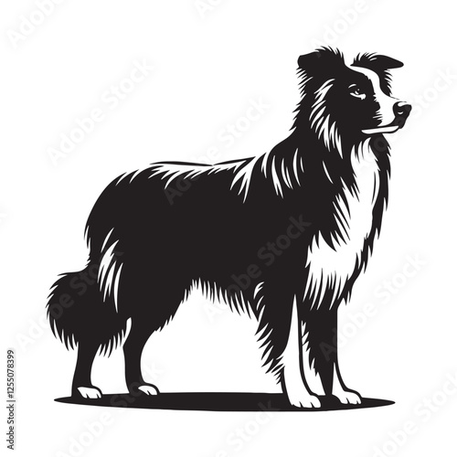 Border Collie silhouette featuring a natural, confident stance - Border Collie illustration - minimal Border Collie vector - dog silhouette
