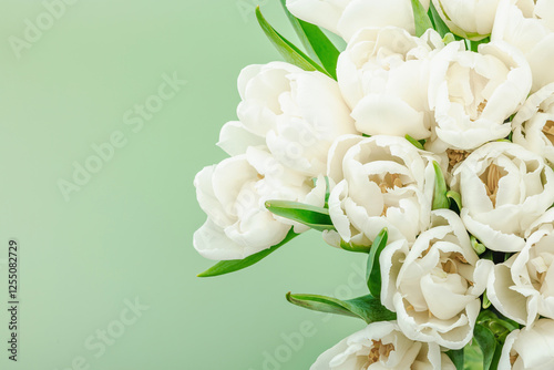 A bouquet of white tulips on a pastel green background. Blooming flowers, festive concept